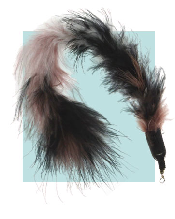 Cat Feather Toys