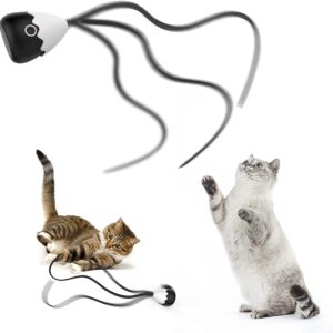 Interactive Cat Toys for Indoor Cats, Automatic Irregular Moving Cat Toy with Lifelike Prey's Tail Silicone Tail, 2 in 1 Rechargeable Exercise Cat Wand Toy for Cats Adult (Black)