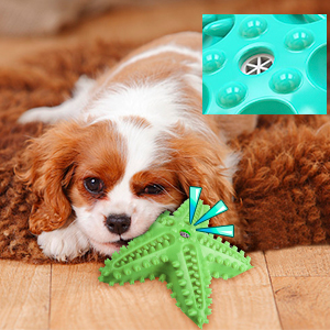 Puppy Teething Toys for Small Medium Dogs