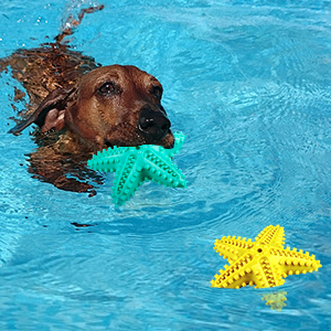 Indestructible Tough Squeaky Dog Chew Toys