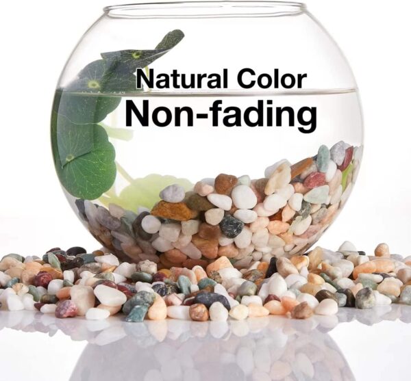 JeeMooTown 1.8kg(3.96lb) Colorful Decorative Stones for Plant Pots, 6-9mm Fish Tank Stones Aquarium Stones, Small Aquarium Substrate Gravel, Natural Color, Non-dyeing, Safe for Water, Fish and Plant - Image 4