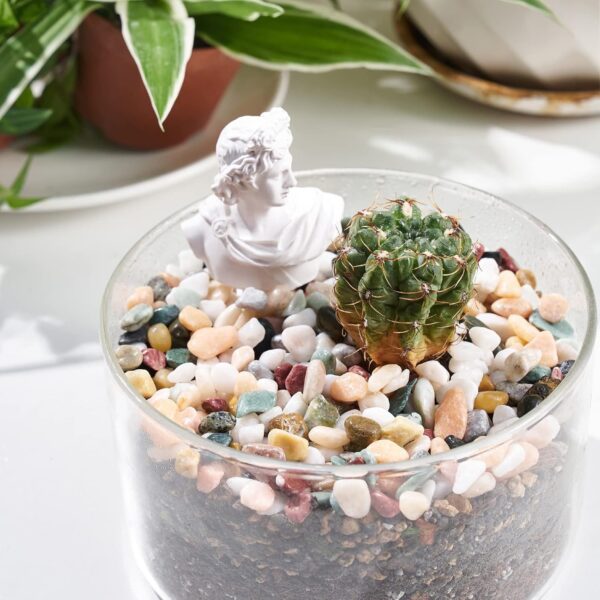 JeeMooTown 1.8kg(3.96lb) Colorful Decorative Stones for Plant Pots, 6-9mm Fish Tank Stones Aquarium Stones, Small Aquarium Substrate Gravel, Natural Color, Non-dyeing, Safe for Water, Fish and Plant - Image 5
