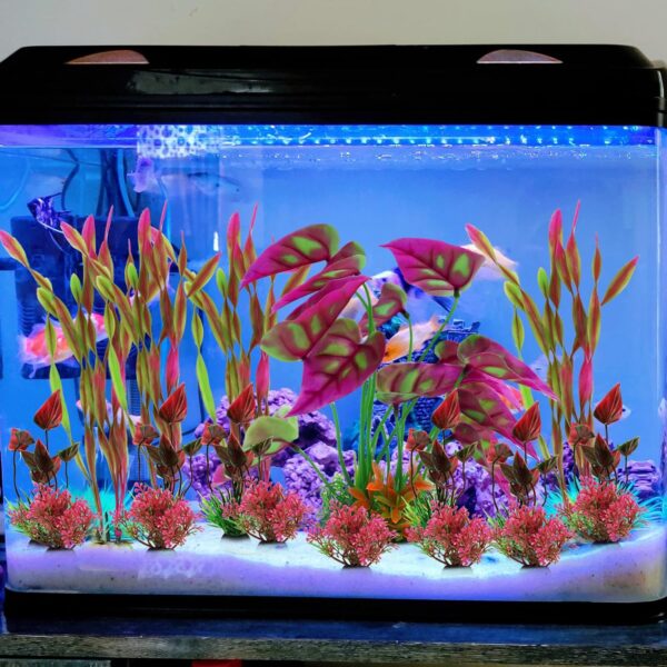 QUOZUO 20pcs Aquarium Decorations Plants, Aquarium Decor Colorful Plants, Fish Tank Accessories, Fish Tank Plant Plastic Decoration for Aquariums, Small to Large - Image 6