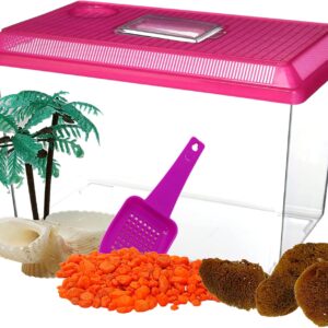 All in One Starter Kit Hermit Crab Habitat Supplies, DIY Terrarium Pack with Plastic Cage, Gravel, Scooper, Sponges, and Palm Tree Feeder for Crabs and Reptiles, 5 Pieces