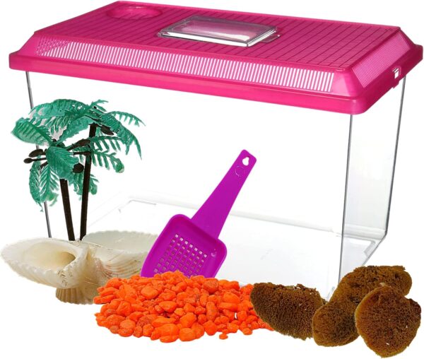 All in One Starter Kit Hermit Crab Habitat Supplies, DIY Terrarium Pack with Plastic Cage, Gravel, Scooper, Sponges, and Palm Tree Feeder for Crabs and Reptiles, 5 Pieces