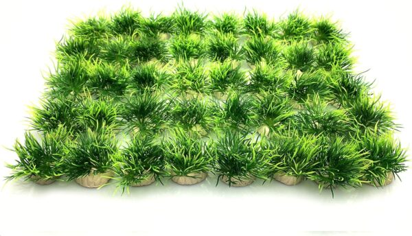 BEGONDIS 40 Pcs Artificial Small Water Plants, Fish Tank Aquarium Grass Decorations, Made of Soft Plastic, Good for All Fish & Pets