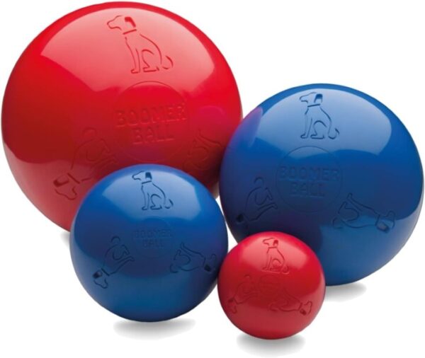 BOOMER BALL 10 inch, Virtually Indestructible Best Dog Toy, Boredom Busting Football, Tough & Durable Large Dog Ball, Floats on Water, Great for Mental Stimulation & High Energy Dogs, Assorted Colours