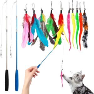 Cat Toy Wand - Caterpillar and Feather Replacement Head Toy Wand Interactive Cat Toys,Caterpillar & Feather Heads Cat Catcher Teaser Stick, Fishing Pole Toy for Indoor Cats Kitten