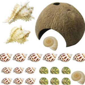 Cayway Hermit Crab Shells Turbo Shells Include 1 PCS Natural Coconut Hide Reptile Hideouts and 5 Style Natural Sea Conch Hermit Crab House for Hermit Crab Supplies, Aquarium Décor