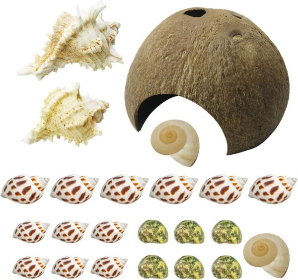 Cayway Hermit Crab Shells Turbo Shells Include 1 PCS Natural Coconut Hide Reptile Hideouts and 5 Style Natural Sea Conch Hermit Crab House for Hermit Crab Supplies, Aquarium Décor