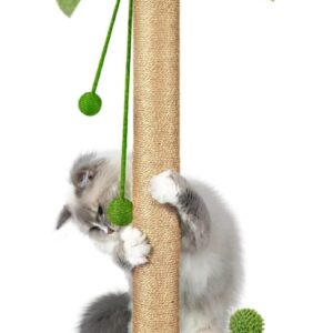 Dohump Cat Scratching Post, 78cm Tall Scratching Pole with Premium Sisal Rope, Two Interactive Hanging Balls and Spring Ball Toys for Indoor Kittens and Cats