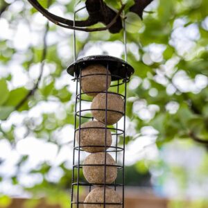 Garden Mile Wild Bird Fat Ball Feeders - Metal Mounted Station Bird Feeder Hanging Nut Seeds Suet Cake Fat Balls Perfect for Outdoor Garden Patio Wildlife Food, Premium Hammertone Food Ball Feeder