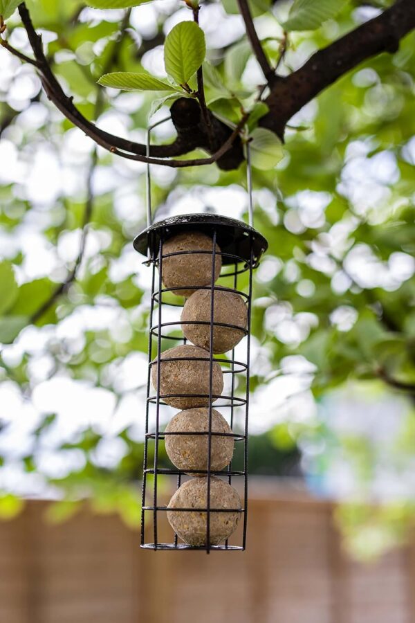 Garden Mile Wild Bird Fat Ball Feeders - Metal Mounted Station Bird Feeder Hanging Nut Seeds Suet Cake Fat Balls Perfect for Outdoor Garden Patio Wildlife Food, Premium Hammertone Food Ball Feeder