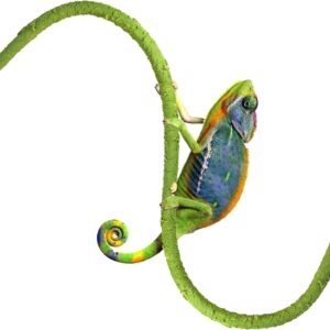 Helidrago Hermit Crab Supplies Climbing Toys, Reptile Climbing Decor Vine, Bendable Bearded Dragon Accessories for Climbing 71 Inches