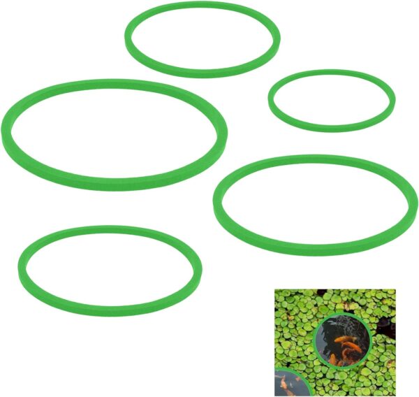 Jeffdad 5pcs Aquarium Floating Plant Rings, Foam Floaters Plant Corral Fish Feeding Ring Aquarium Feeding Ring, for Intercepts Floating Plants(Green)