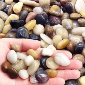 LONTOM 2.2LB Decorative Polished Pebbles for Plants, Natural Mixed Color Pebbles, Plant Rocks, Aquarium Gravel, Fish Tank Rocks, Garden Rocks, Vase Fillers, Outdoor Decorative Stones