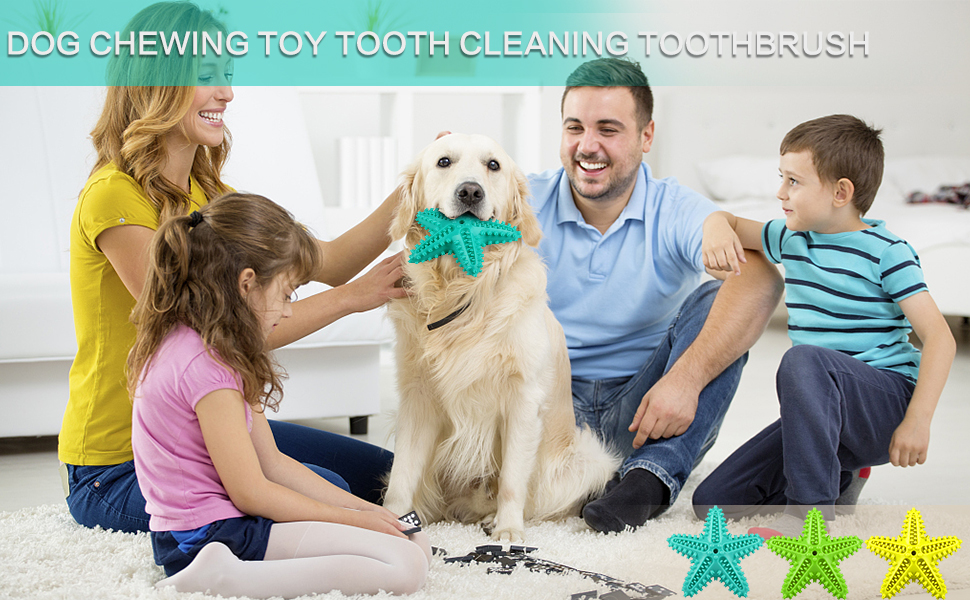 Dog Toothbrush Chew Toy