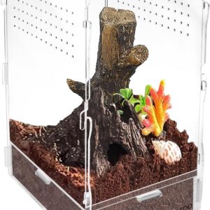 NANEEZOO Micro Habitat Terrariums with Locking Latch, 8x6x12 Inches Acrylic Reptile Tank with Water-tight Base, Arboreal Enclosure for Tarantula Jumping Spiders Small Tree Dwelling Reptiles (Arboreal)