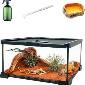 Reptile Glass Terrarium kit，12"x8"x6"Terrarium Enclosure Amphibians Tank Cage with Magnetic Sliding Door for Small Reptiles, Amphibians and Invertebrates.