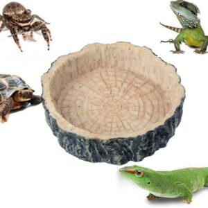 Saim Small Crawler Pet Feeding Round bowl Food Water Non-toxic Resin Dish Suitable for Reptile Turtle Tortoise Scorpion Lizard Crabs Pets Supplies