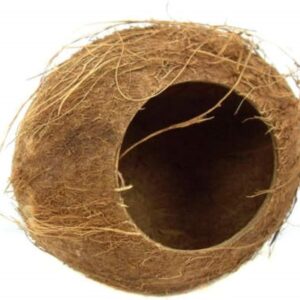 Small Pet Toy Coconut Hut