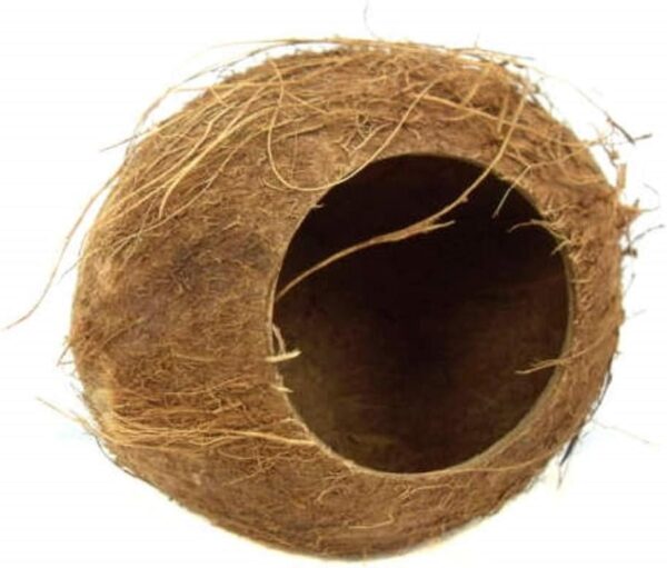 Small Pet Toy Coconut Hut