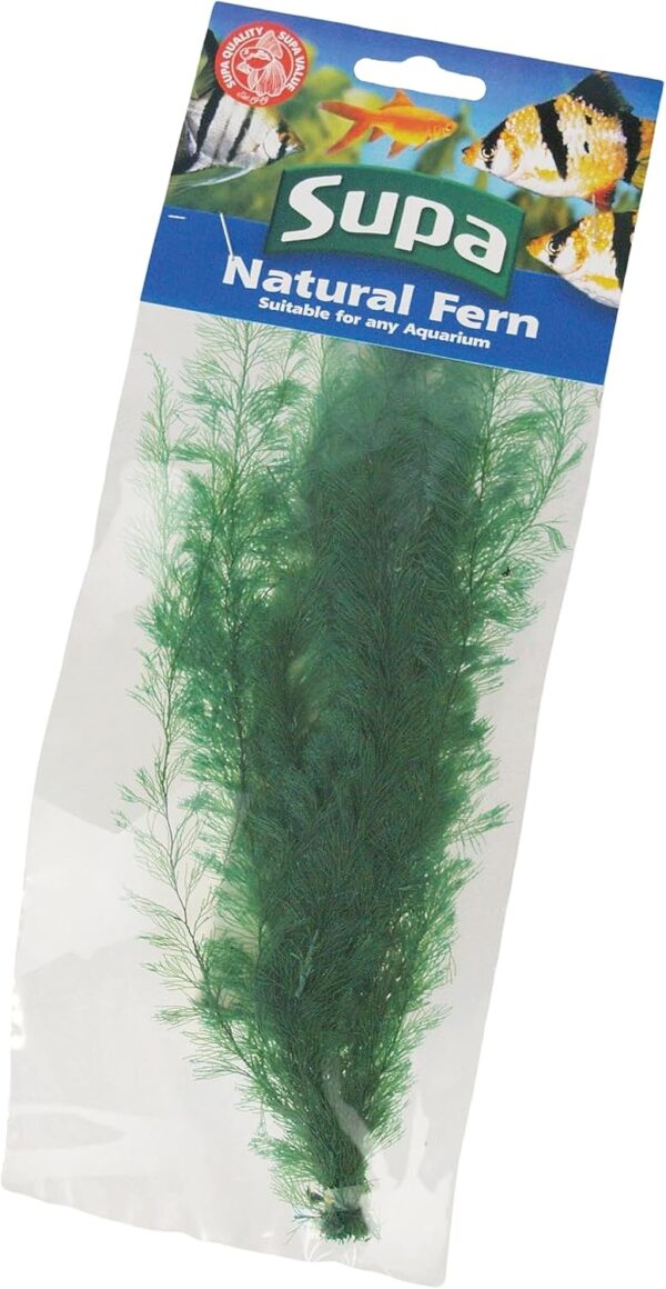 Supa Natural Large Size Green Coloured Fern, Attractive Decoration Which Adds Colour and Movement to Your Aquarium