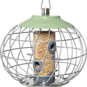 The Nuttery HELD04 Helix Seed Squirrel Proof Bird Feeder, Celadon Green