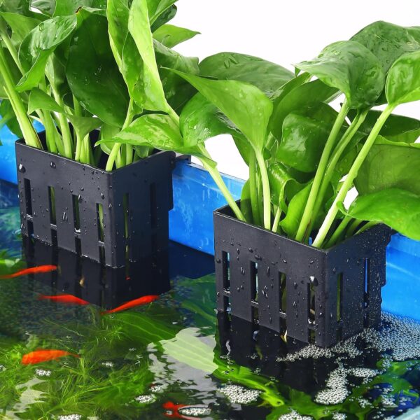 Upgraded Aquarium Plant Holder with Hooks and Suction Cups for Fish Tank Aquaponic Plants Cultivation and Aquascape Decorations (Black)