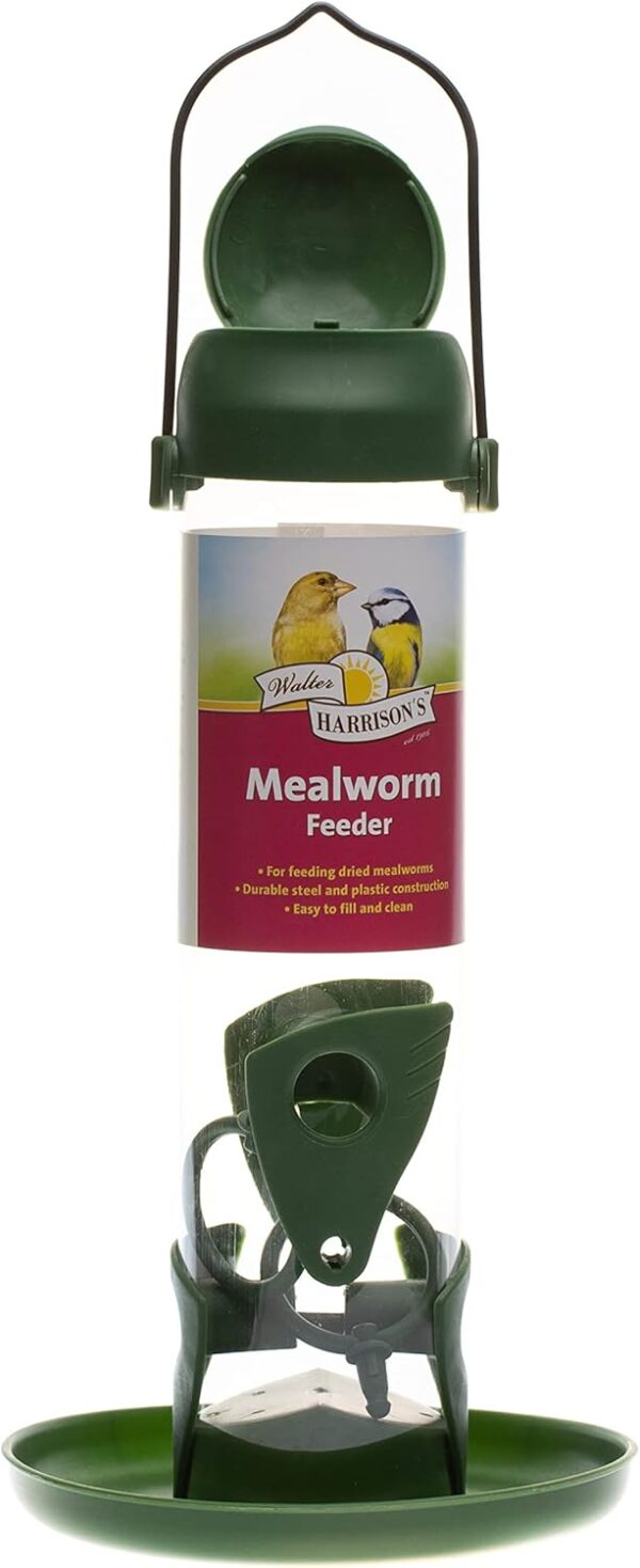 Walter Harrison's Wild Bird Flip Top Green Hanging Mealworm Garden Bird Feeder - Small - 22 cm