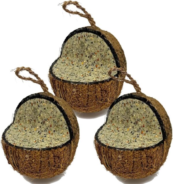 XL Seed & Nut Suet Coconut Feeder, Wild Bird Food, Butter for Birds, Hanging Feeder, Suet for Birds (3 Pack)