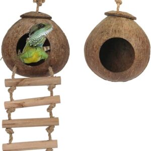 Yoicn Lth Natural Coconut Shell Gecko Nest House Reptile Hideouts Bed Cage Toy with Ladder Hanging Loop for Lizards Chameleon Gecko Snakes Small Animal 2 PCS