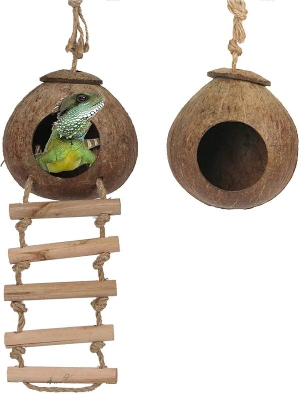 Yoicn Lth Natural Coconut Shell Gecko Nest House Reptile Hideouts Bed Cage Toy with Ladder Hanging Loop for Lizards Chameleon Gecko Snakes Small Animal 2 PCS