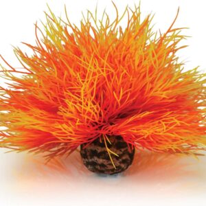 biOrb Aquarium Sea Lily fire