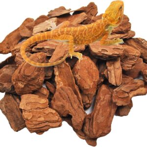 kathson Reptile Bark Bedding Snake Habitat Substrate Tortoise Beddings Natural Wood Chips Terrarium Supplies for Bearded Dragons Geckos Chameleons Lizards Frogs(About 500 Grams)