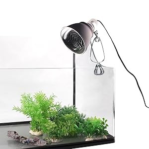 heat lamp for reptiles