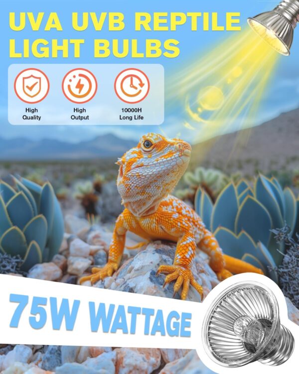 Aurahome 75W Heat Lamp Bulb for Reptiles,E27 UVA UVB Reptile Light Bulb,Dimmable Basking Light Bulb,2700K Warm White Tortoise Heat Lamp Bulb for Lizard,Snake,Bearded Dragon and Amphibians-2 Pack - Image 3