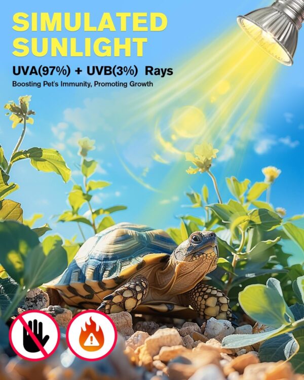 Aurahome 75W Heat Lamp Bulb for Reptiles,E27 UVA UVB Reptile Light Bulb,Dimmable Basking Light Bulb,2700K Warm White Tortoise Heat Lamp Bulb for Lizard,Snake,Bearded Dragon and Amphibians-2 Pack - Image 2