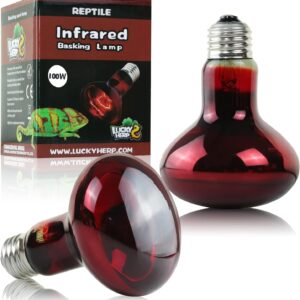 LUCKY HERP Reptile Heat Lamp Bulb, Infrared Basking Spot Light Bulb 100W-2Pack, Vivarium E27 UVA Heat Lamp for Reptiles,Tortoise,Puppies,Bearded Dragon,Chicks