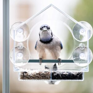 Window Bird Feeder with Drainage Holes Strong Suction Cups Acrylic Clear Wild Bird Feeder House Bird Seed Feeders Windowsill Birdfeeders for Garden Outdoor Backyard Wildlife Little Birds Watching