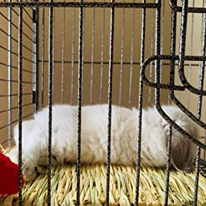 Woven Bed Mat for Rabbits