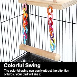 Colorful Swing