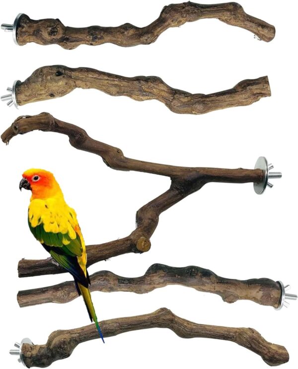 Allazone 5 PCS Bird Perch Natural Grape Stick Bird Standing Stick Swing Chewing Bird Toys Natural Grapevine Bird Cage Perch For Parrot Cages Toy for Cockatiels, Parakeets, Finches