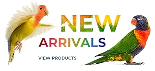 Parrot Essentials New Parrot Foods, Toys, Perches and Accessories