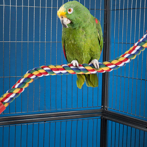 Bird Spiral Rope Perch