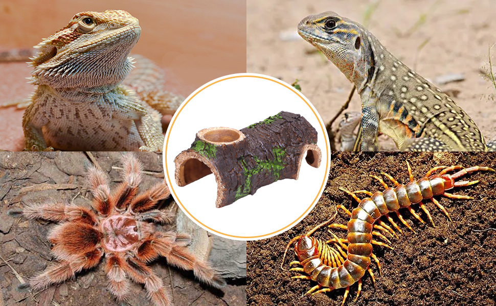 gecko hide leopard gecko hides and caves reptile shelter 