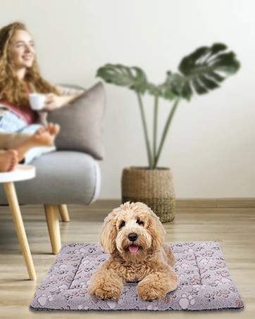 memory foam dog bed