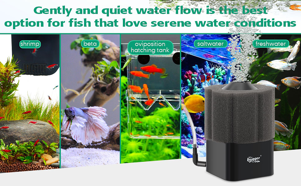 fish tank filter 