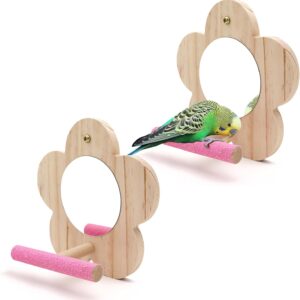 2Pcs Large Bird Mirror Parrot Swing,Wooden Parakeet Perches Flower Interactive Play Toys for Small Budgies Macaw African Grey Parakeets Lovebird Cockatiel Cage Accessories (Large, Wood-2p)