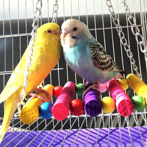 Gwotfy Budgie Toys, Bird Swing, Bird Parrot Toys, 2 Packs Bird Swing Toy, Pet Bird Parrot Parakeet Budgie Cockatiel Cage Hammock Swing Toy - Image 7